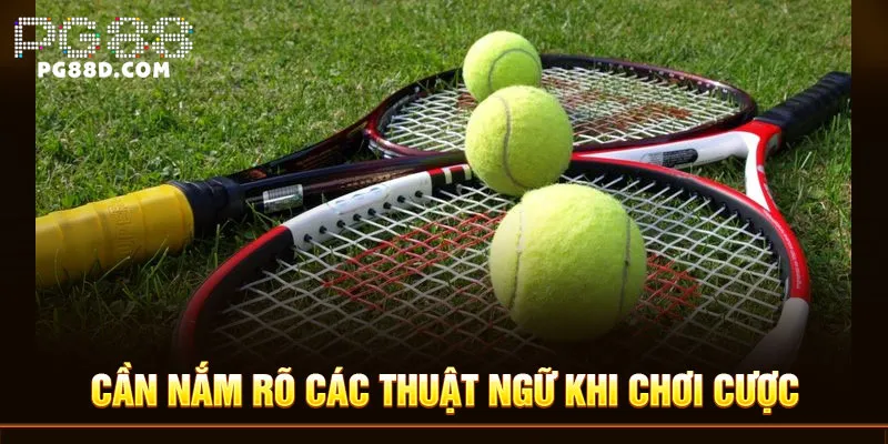 Cần nắm rõ các thuật ngữ khi chơi cược