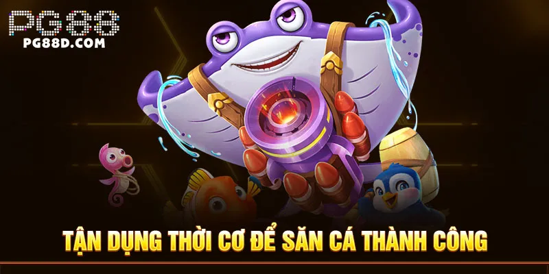 Tận dụng thời cơ để săn cá thành công